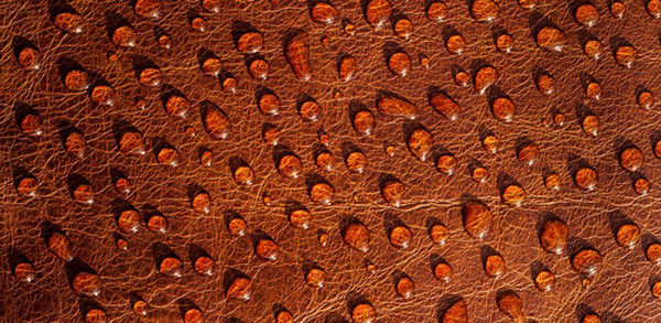 3 bước kiểm tra nhanh giúp bạn phân biệt chính xác bao da thật chỉ trong vài giây mà không cần dùng đến lửa.