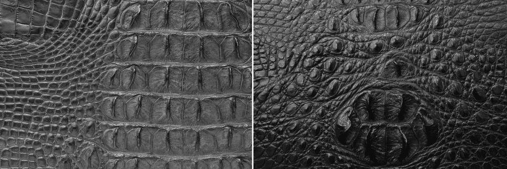 Hệ thống vân vảy tự nhiên tạo nên độ khối và nét đặc trưng riêng cho từng sản phẩm.