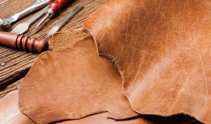 Hàng triệu lỗ chân lông siêu nhỏ trên da bò đóng vai trò như hệ thống "điều hòa" tự nhiên, giữ cho mạch điện tử Smartkey luôn khô ráo và ổn định.