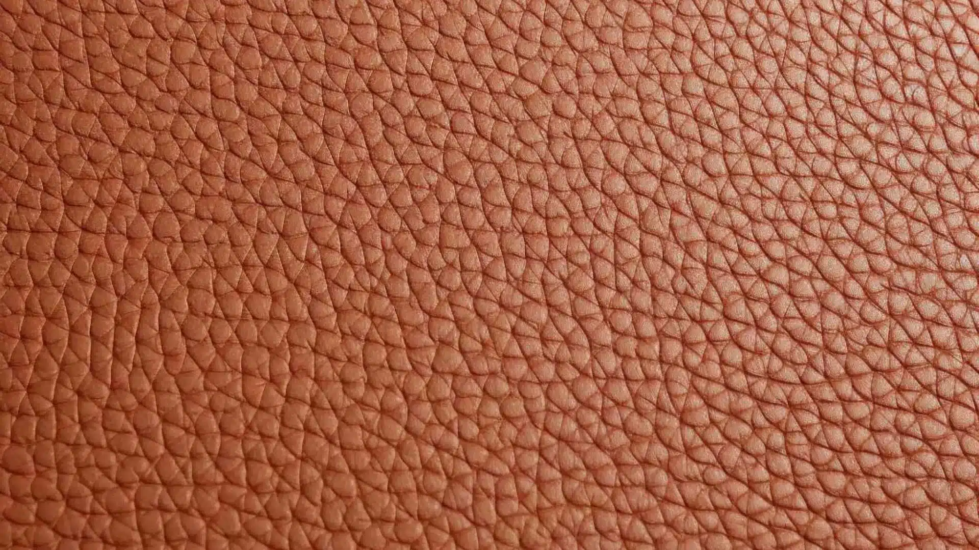 Hiểu về cấu trúc da thuộc để bảo quản đúng cách