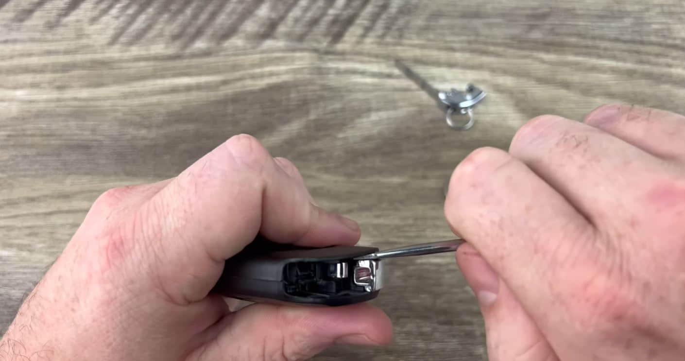 Tìm đúng rãnh tách vỏ là bước quyết định. Nạy sai rãnh dễ gãy lẫy và làm vỏ hở về sau.