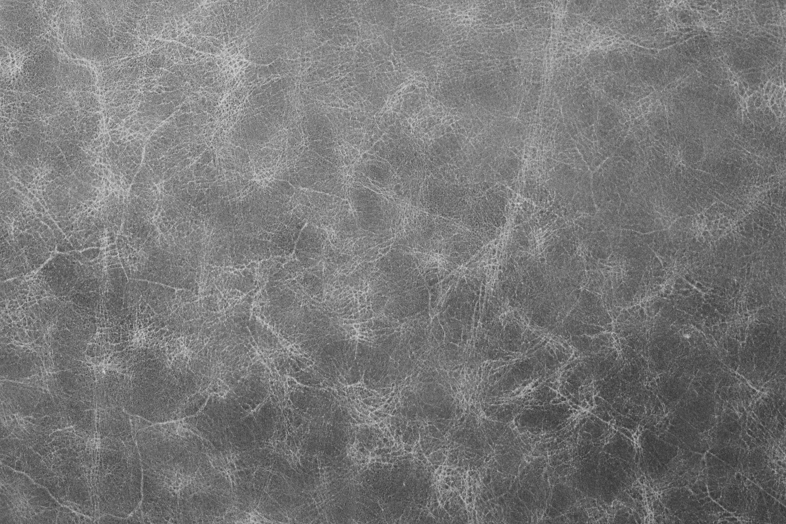 Cận cảnh bề mặt da với texture rõ