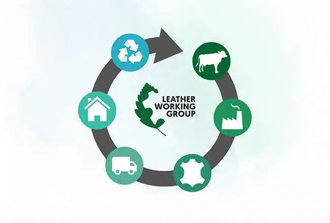 LWG không đánh giá da đẹp hay xấu, mà tập trung vào cách nguồn da được quản lý trong chuỗi sản xuất.